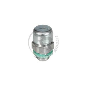 Tappo Sfiato Olio, M10x1,00mm 1NTSS00N